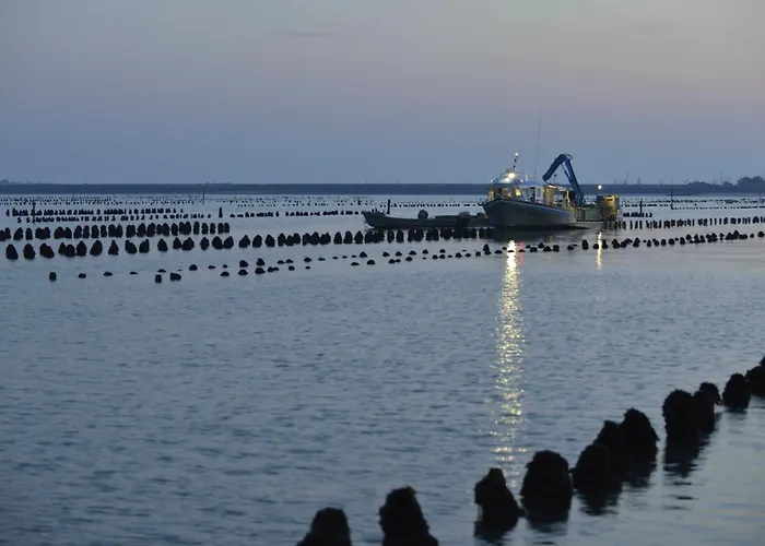 Hébergement de vacances Maison Proche Et Centre De - Fr-1-194-314 La Faute-sur-Mer
